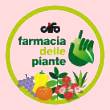 Logo cifo